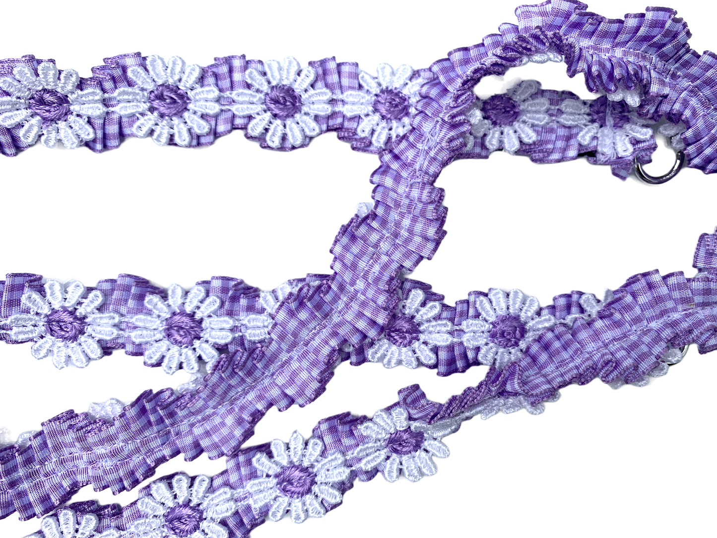Daisy Lilac